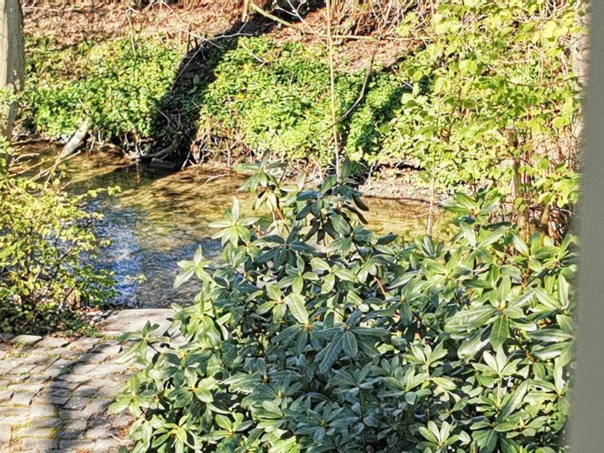 Hr Cottage Am Honigbach Κόσφελντ Εξωτερικό φωτογραφία